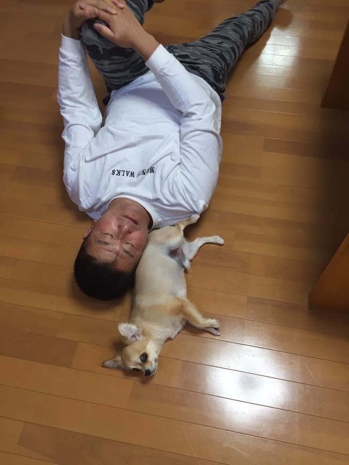 犬１